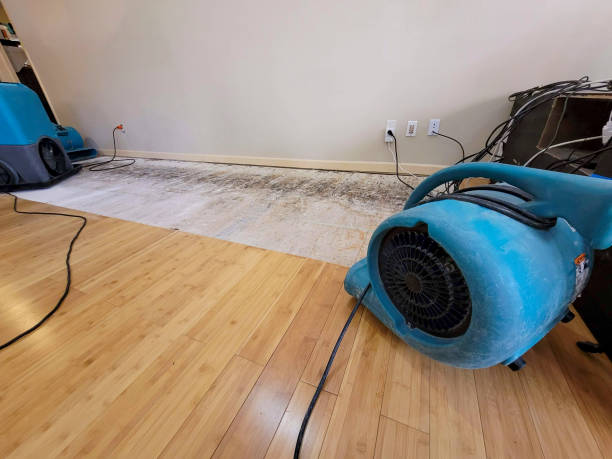 Professional Water Damage Repair technician working in Mitchell, GA